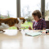 FRONTLINE Plus Flea & Tick Treatment - Image 4